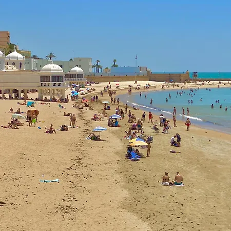 Penthouse With Jacuzzi, And Garaje Grupo Ac Gestion *